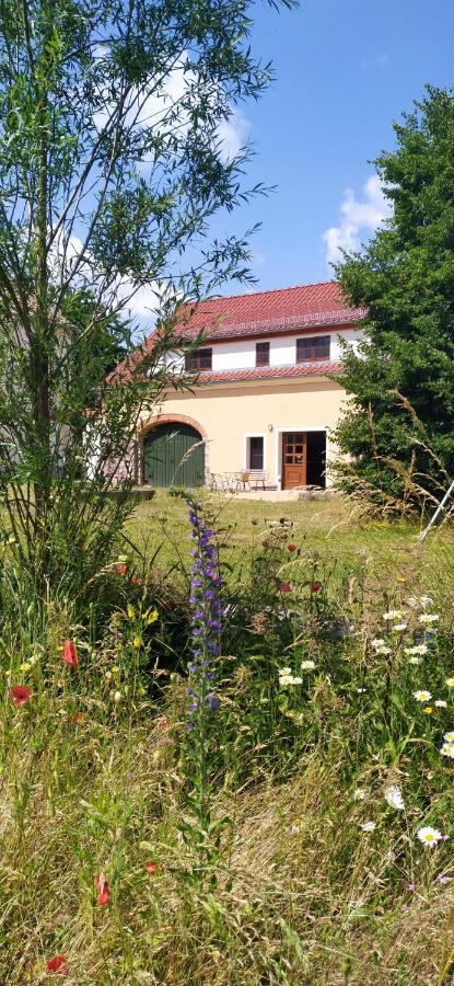 Ferienhof-Kuehn Hochkirch Extérieur photo