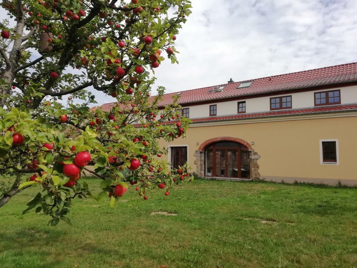 Ferienhof-Kuehn Hochkirch Extérieur photo